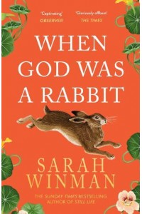 When God Was a Rabbit