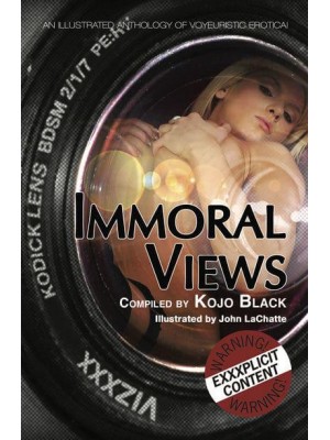 Immoral Views An Illustrated Anthology of Voyeuristic Erotica