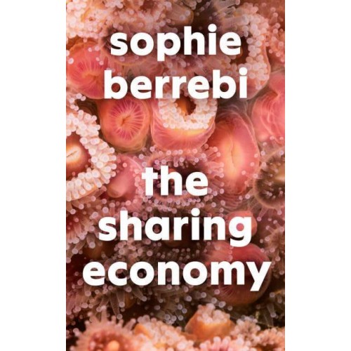 The Sharing Economy
