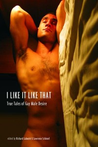 I Like It Like That True Stories of Gay Male Desire