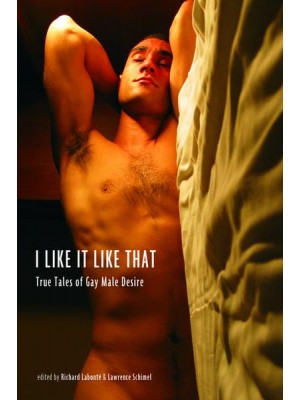 I Like It Like That True Stories of Gay Male Desire