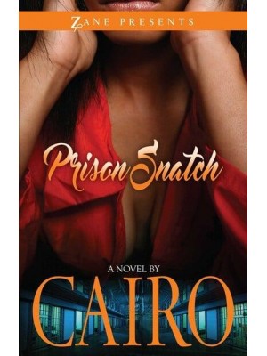 Prison Snatch A Novel