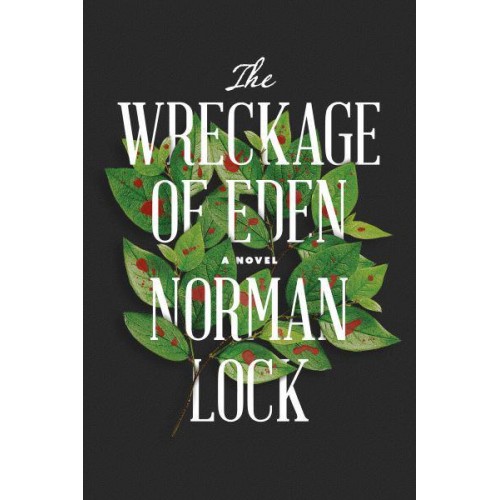 The Wreckage of Eden - The American Novels