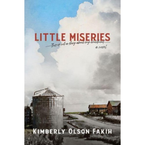 Little Miseries This Is Not a Story About My Childhood. A Novel.