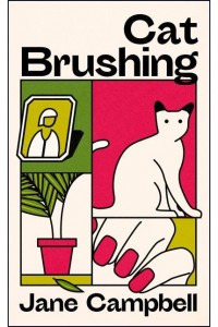 Cat Brushing