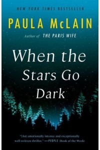 When the Stars Go Dark A Novel