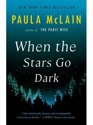 When the Stars Go Dark A Novel