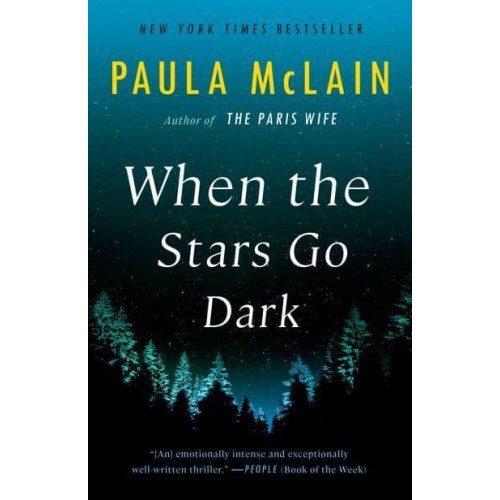 When the Stars Go Dark A Novel
