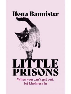 Little Prisons