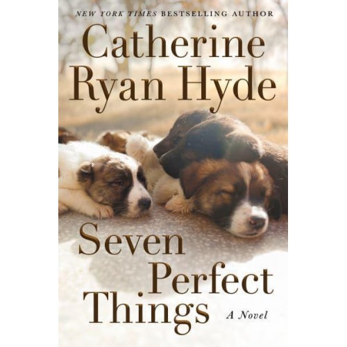 Seven Perfect Things