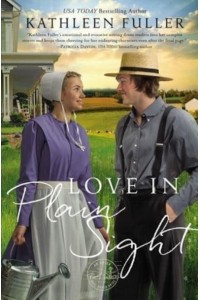 Love in Plain Sight - An Amish Mail-Order Bride Novel