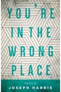 You're in the Wrong Place Stories - Made in Michigan Writers Series