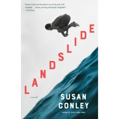 Landslide A Novel