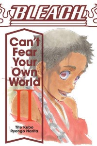 Bleach Vol. 2 Can't Fear Your Own World - Bleach: Can't Fear Your Own World
