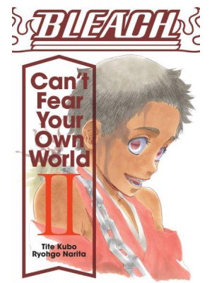 Bleach Vol. 2 Can't Fear Your Own World - Bleach: Can't Fear Your Own World
