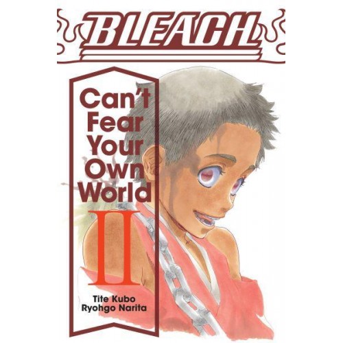 Bleach Vol. 2 Can't Fear Your Own World - Bleach: Can't Fear Your Own World