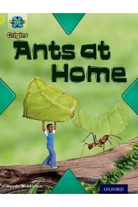 Ants at Home - Underground