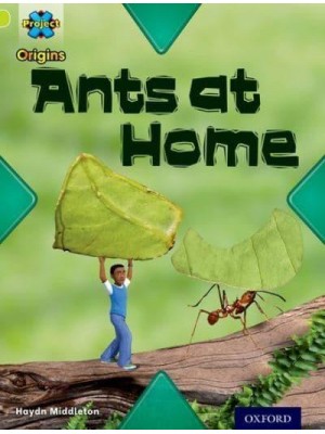 Ants at Home - Underground