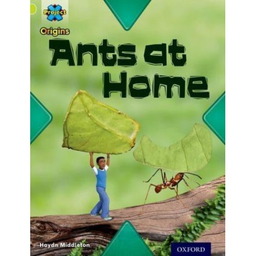 Ants at Home - Underground