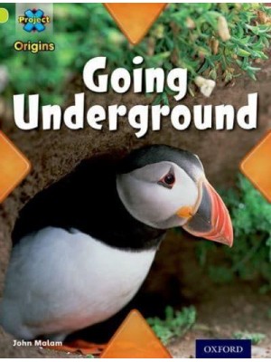 Going Underground - Underground