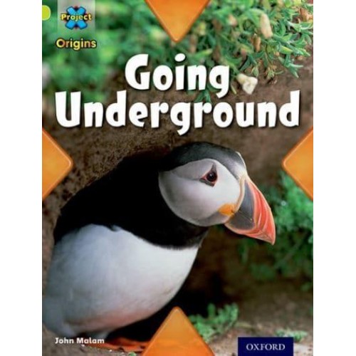 Going Underground - Underground