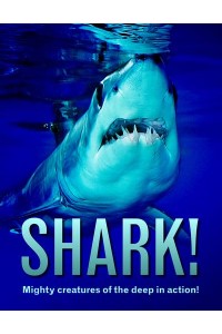 Shark!