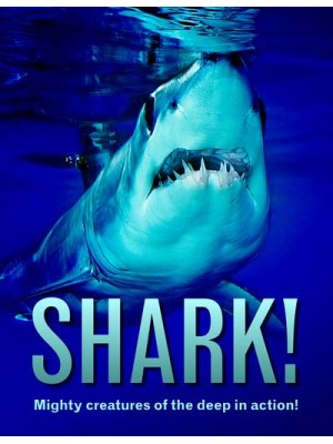Shark!