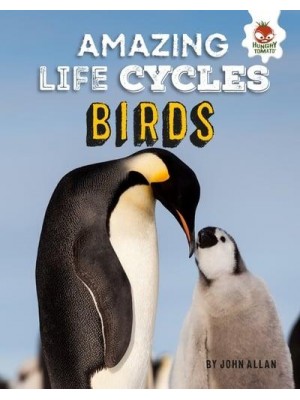 Birds - Amazing Life Cycles