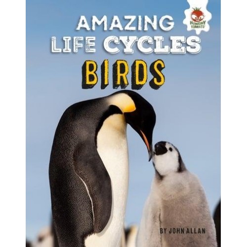 Birds - Amazing Life Cycles