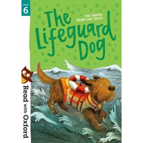 The Lifeguard Dog - Read With Oxford. Stage 6
