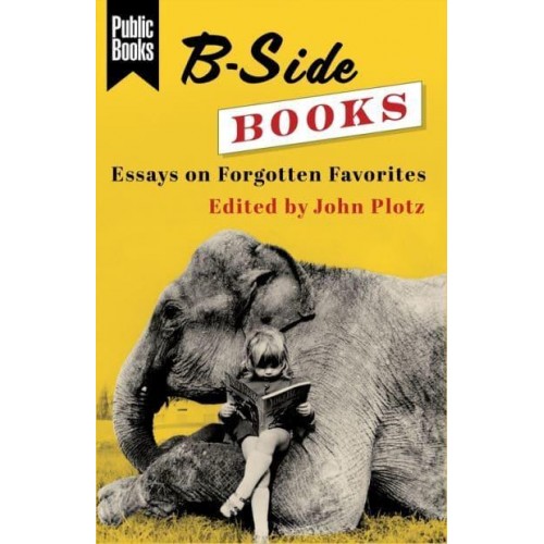 B-Side Books Essays on Forgotten Favorites - Public Books Series