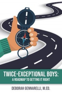 Twice Exceptional Boys A Roadmap to Getting It Right