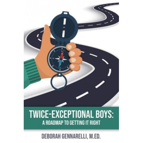 Twice Exceptional Boys A Roadmap to Getting It Right