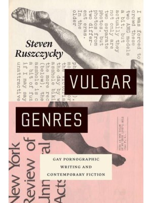 Vulgar Genres Gay Pornographic Writing and Contemporary Fiction