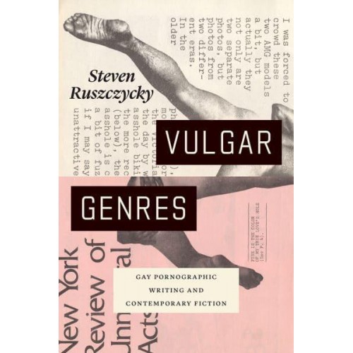 Vulgar Genres Gay Pornographic Writing and Contemporary Fiction