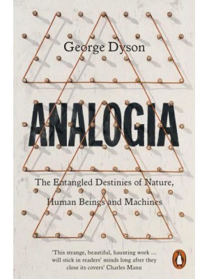 Analogia The Entangled Destinies of Nature, Human Beings and Machines