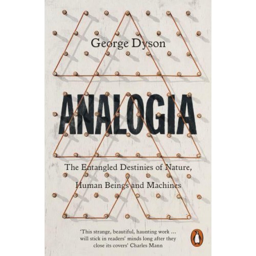 Analogia The Entangled Destinies of Nature, Human Beings and Machines