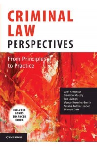 Criminal Law Perspectives From Principles to Practice