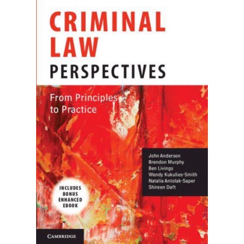 Criminal Law Perspectives From Principles to Practice