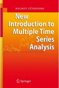 New Introduction to Multiple Time Series Analysis