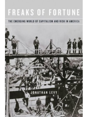 Freaks of Fortune The Emerging World of Capitalism and Risk in America