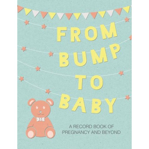 From Bump to Baby A Record Book of Pregnancy and Beyond