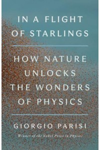 In a Flight of Starlings How Nature Unlocks the Wonders of Physics