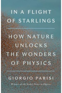 In a Flight of Starlings How Nature Unlocks the Wonders of Physics