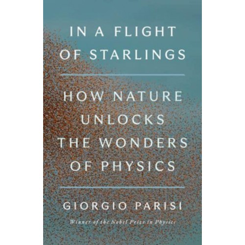 In a Flight of Starlings How Nature Unlocks the Wonders of Physics