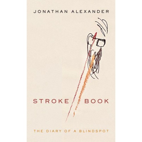 Stroke Book The Diary of a Blindspot