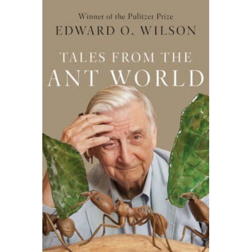 Tales from the Ant World