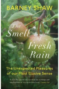 The Smell of Fresh Rain The Unexpected Pleasures of Our Most Elusive Sense