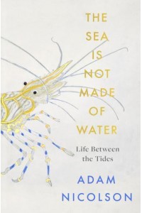 The Sea Is Not Made of Water Life Between the Tides