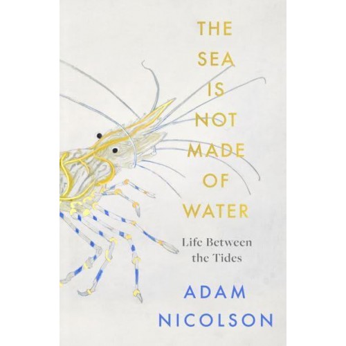 The Sea Is Not Made of Water Life Between the Tides